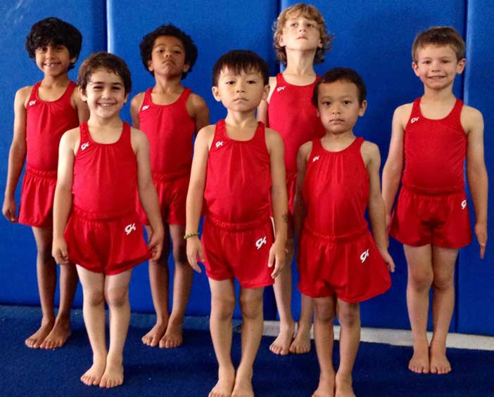 Boys Gymnastics Team